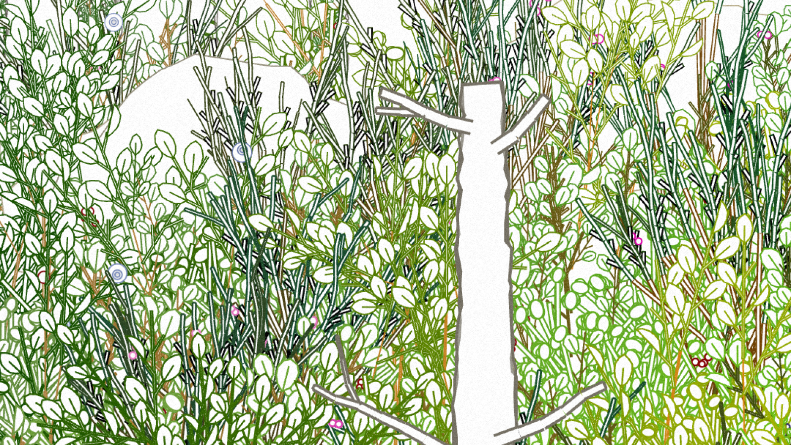 Swedish forest nft token
